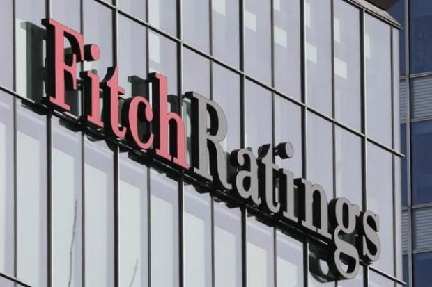 Delisting may create governance issues in companies: Fitch