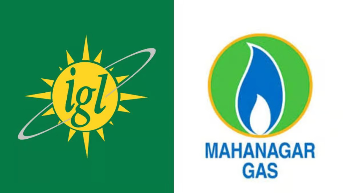 MGL, IGL shares crack 20% as city distribution firms see further cut in priority gas allocation